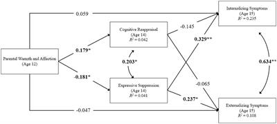 Parental warmth, adolescent emotion regulation, and adolescents’ mental health during the COVID-19 pandemic